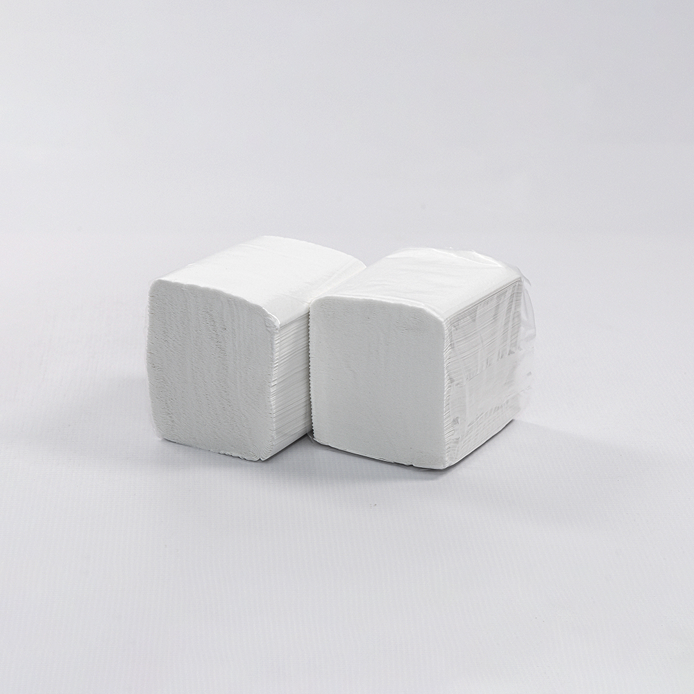 toa-toaletni-papir-listici-100x170cm-2-sl-250l-nord-40-1-bel-1.jpeg